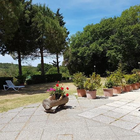 Locanda Il Boschetto Volterra Extérieur photo